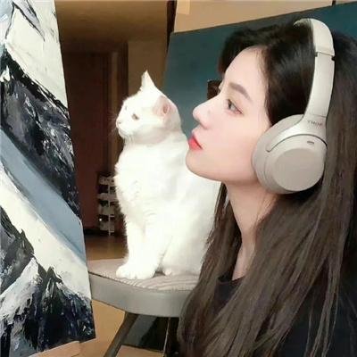 浴血争霸
